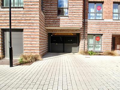 Picture 17